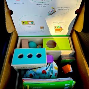 Gently used “The Thinker” Lovevery playkit for months 11-12.